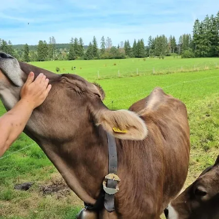 Alpen Liebe Prem